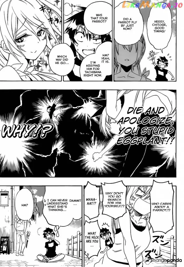 Nisekoi Chapter 104 image 12_optimized